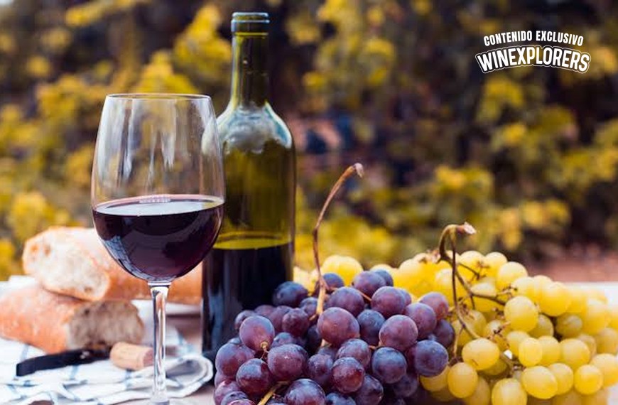 Vino Sub 30: La competencia que busca revolucionar el consumo de vino entre jóvenes