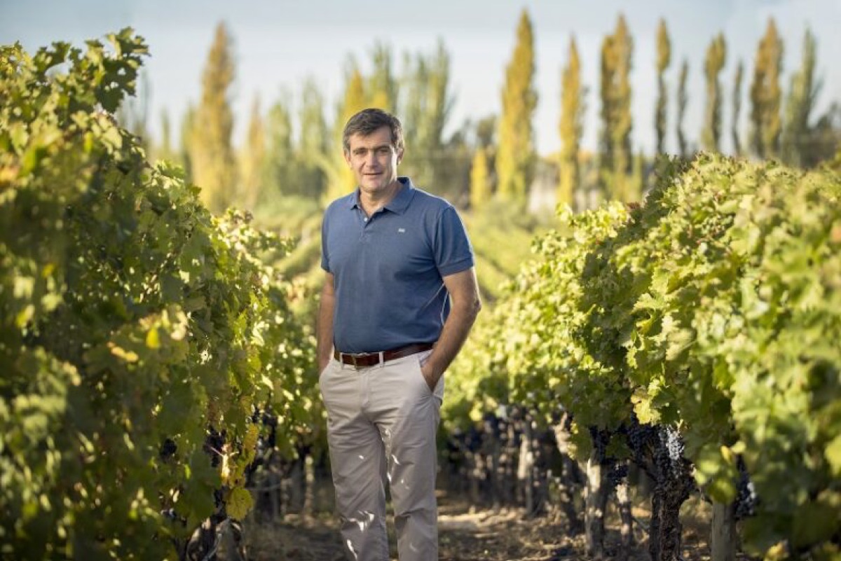 Pablo Cúneo recibe el reconocimiento de Enólogo del Año 2026 por Tim Atkin