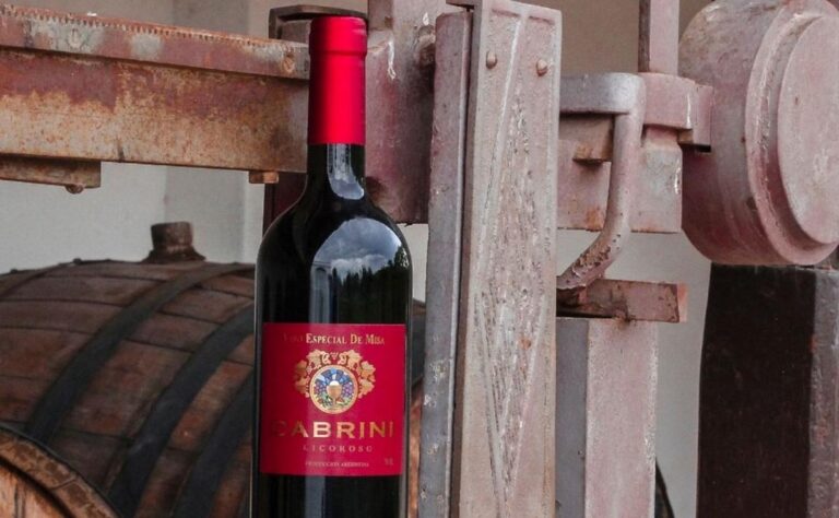 Papa León XIV usará vino mendocino en su misa en Luján