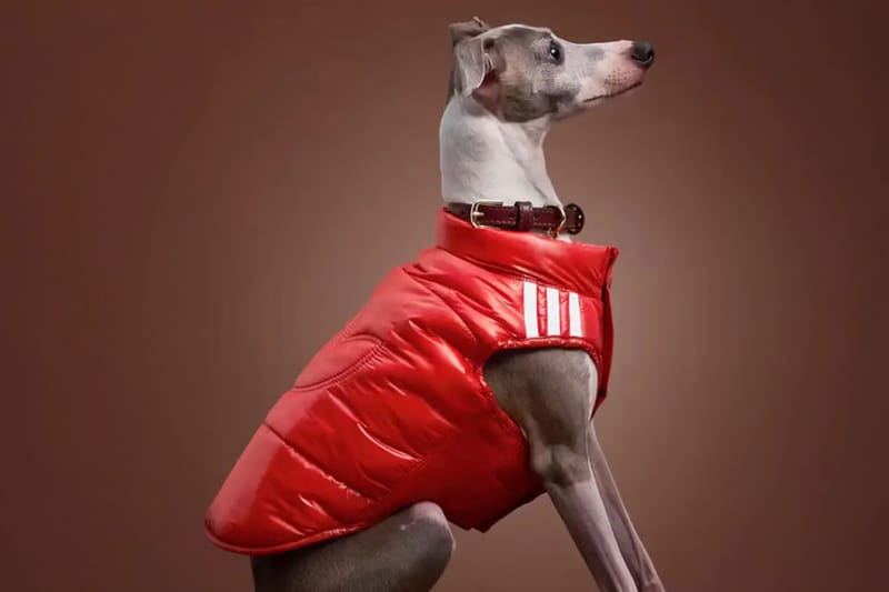 Adidas lleva las tres rayas a la ropa de invierno para mascotas