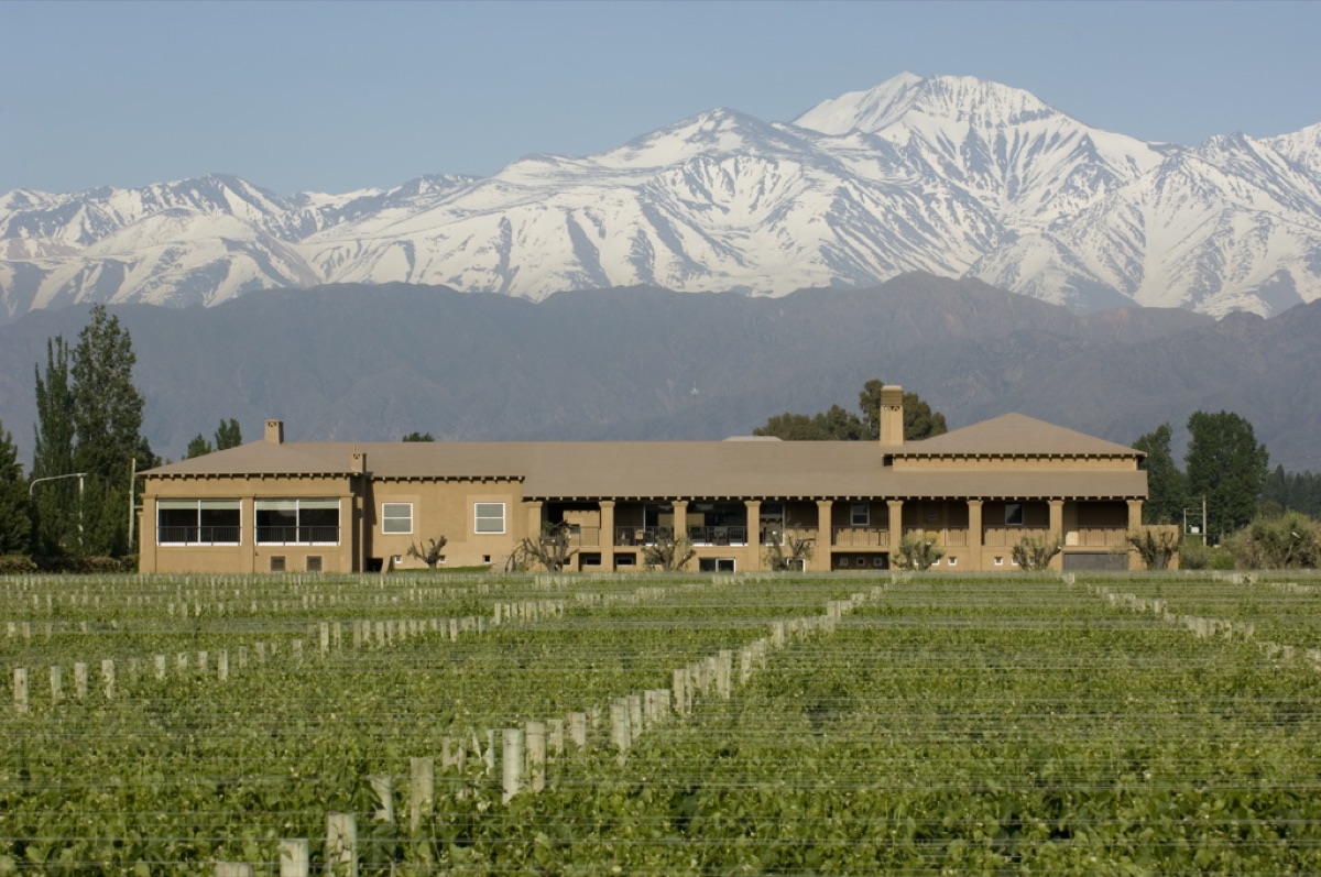Bodega Vistalba invita a vivir invierno con vino y gastronomía