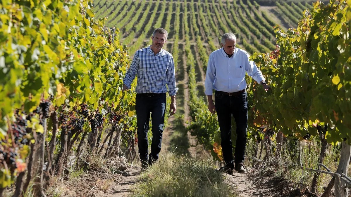 Alta Yarí Gran Malbec 2024 ganó platino en los Decanter Awards