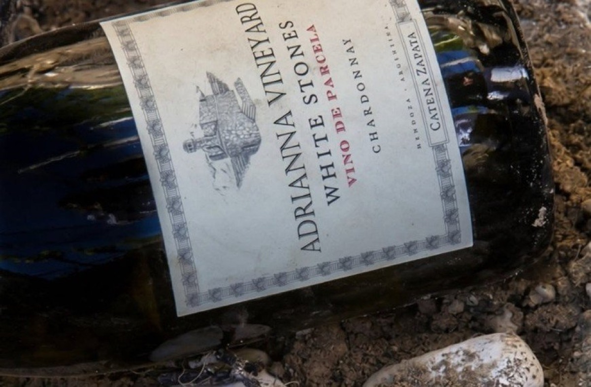 Vinos de Catena Zapata Recibieron Puntuación Perfecta de la Crítica Internacional