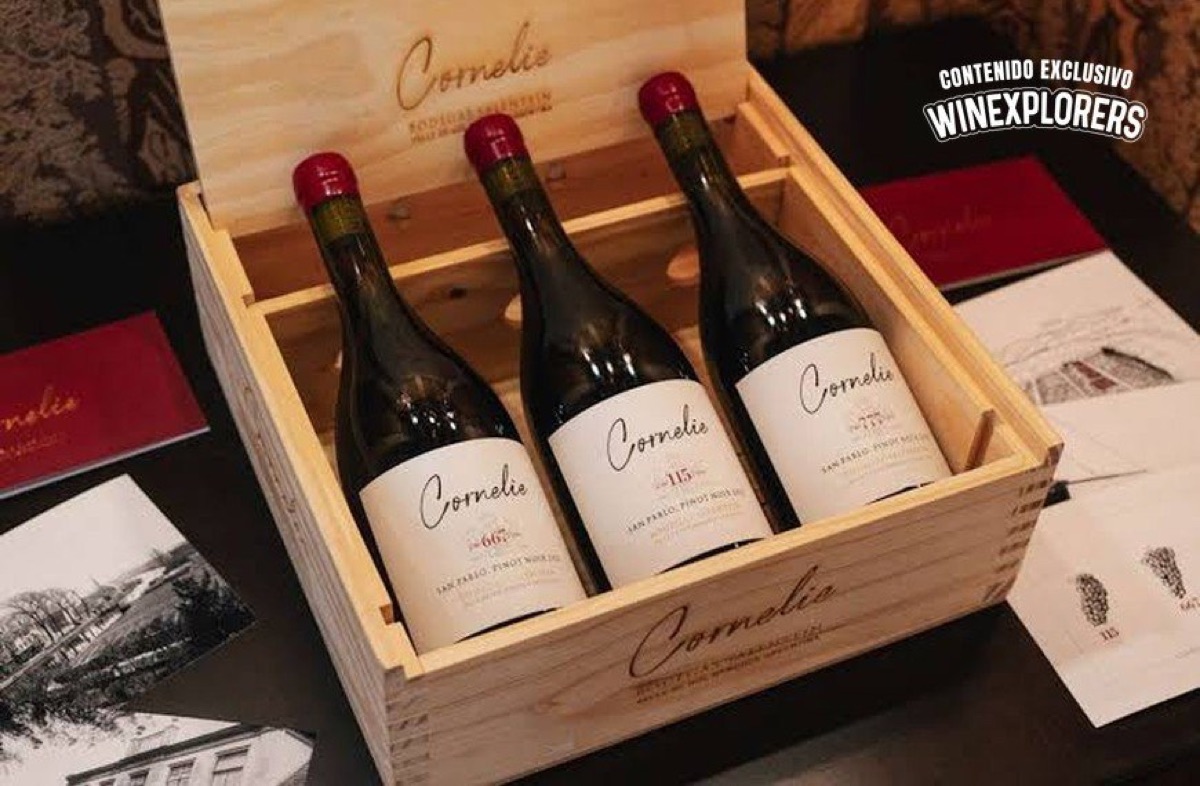 Salentein presenta Cornelie 2023: el Pinot Noir de altura que desafía al mundo