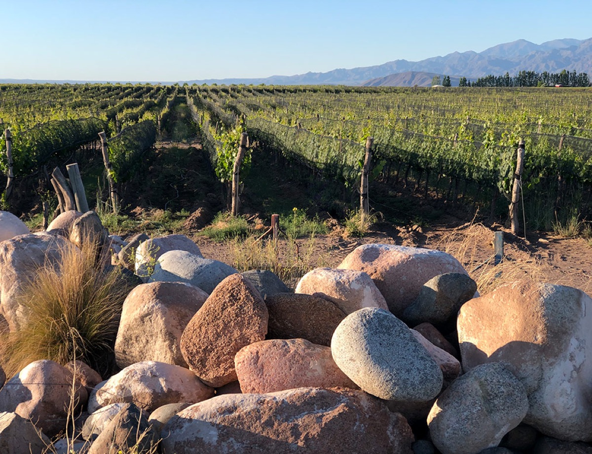 Nuevas experiencias de enoturismo en Mendoza para vacaciones de invierno