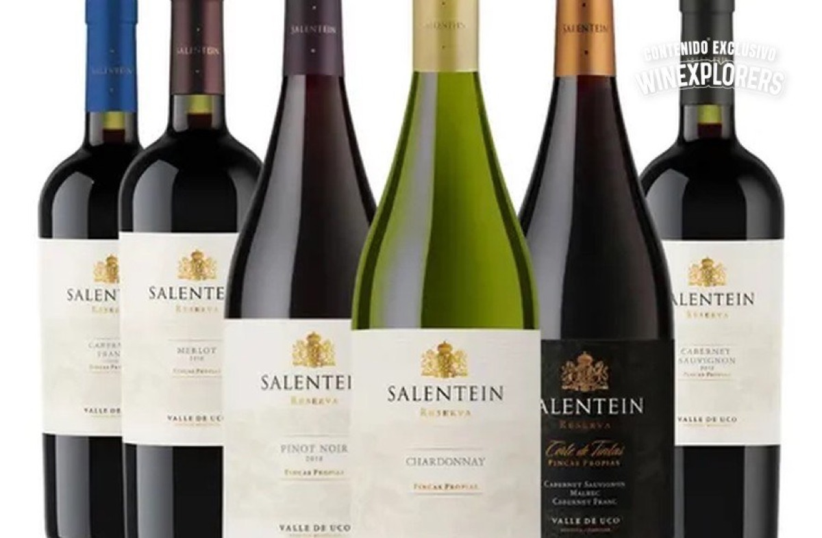 Pinot Noir, Sauvignon Blanc y Cabernet: la nueva estrategia de Salentein para conquistar el mundo