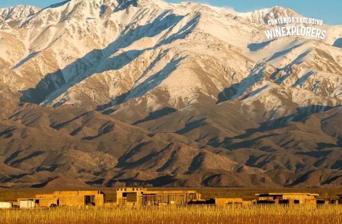 Chardonnay de altura: por qué los vinos del Valle de Uco conquistan a los paladares más exigentes