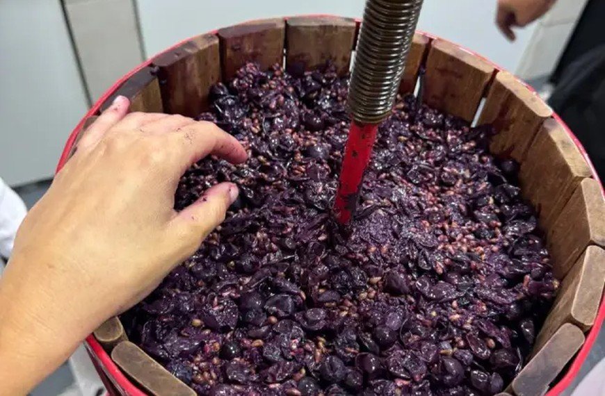 Los alumnos de La Escuelita elaboran vino para Tres Monos