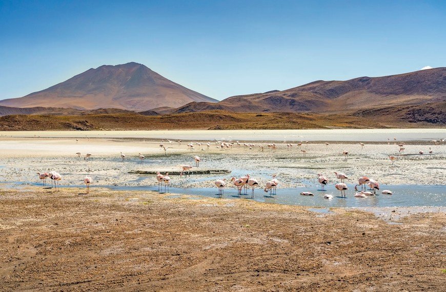 Destinos de noviembre con hoteles nuevos, cultura y gastronomía